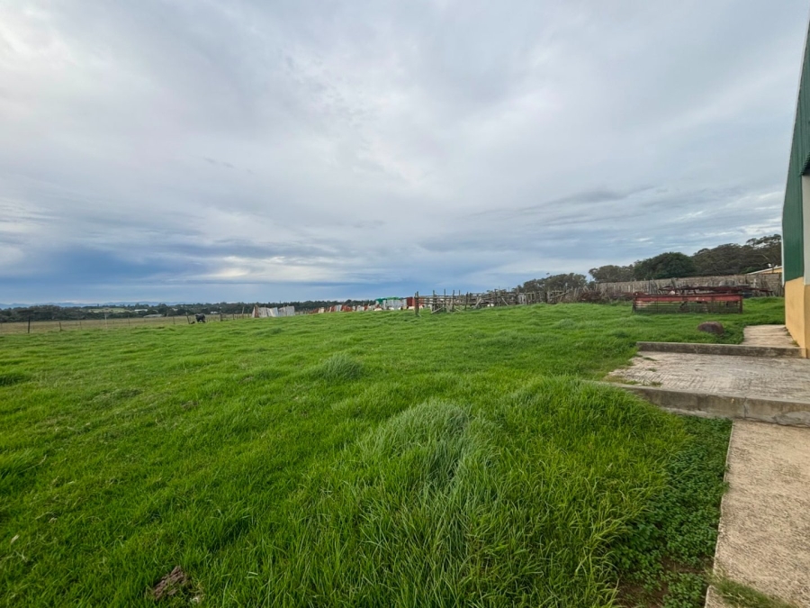 Commercial Property for Sale in Colleen Glen Eastern Cape